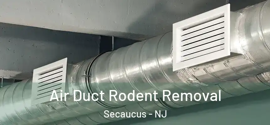  Air Duct Rodent Removal Secaucus - NJ