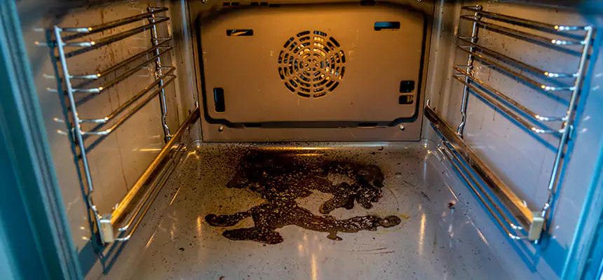 Our Dryer Vent Mold Cleaning Services in Secaucus, NJ