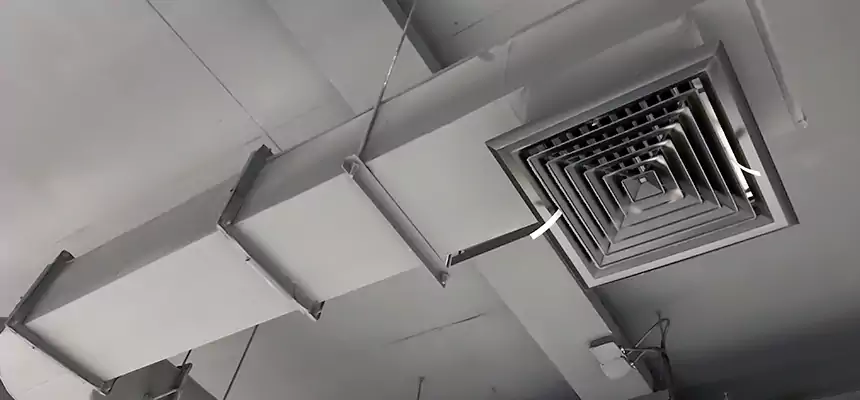 Our Pest Removal From Ducts Services in Secaucus, NJ