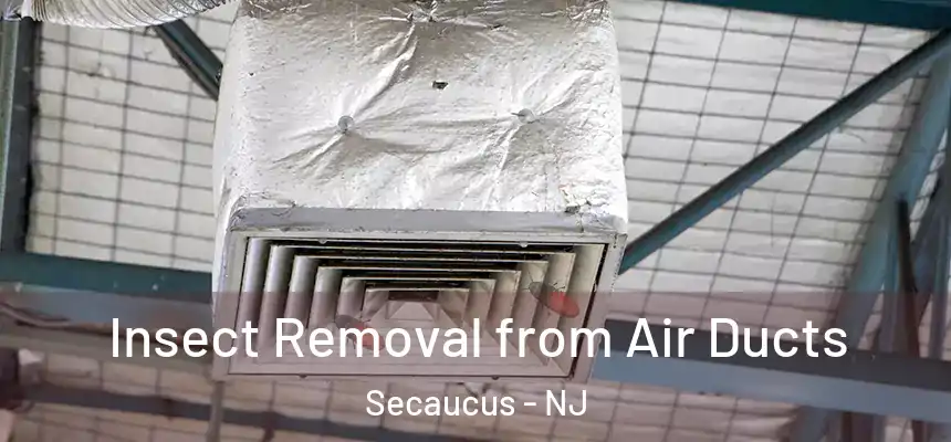  Insect Removal from Air Ducts Secaucus - NJ