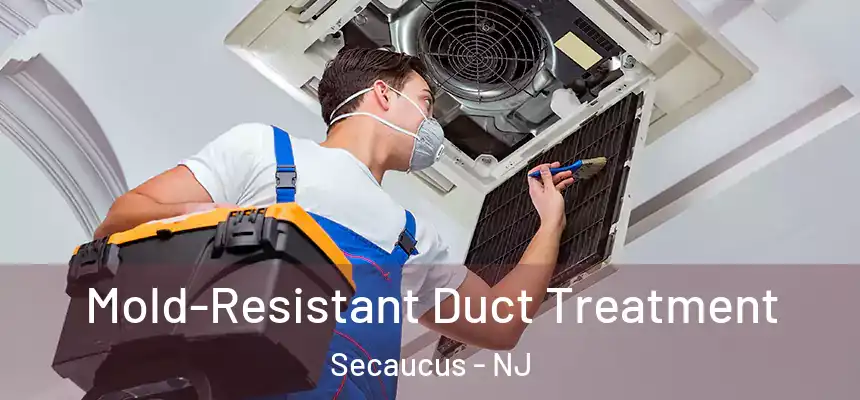  Mold-Resistant Duct Treatment Secaucus - NJ