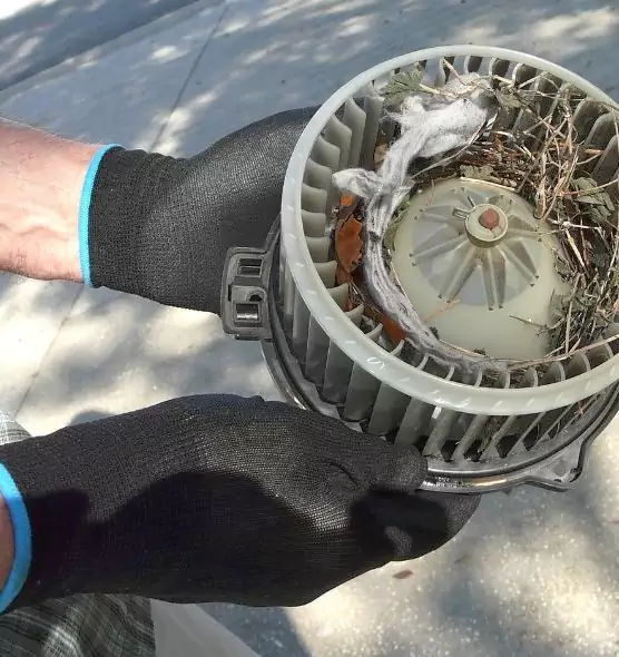 About Air Duct Mice Removal in Secaucus, NJ