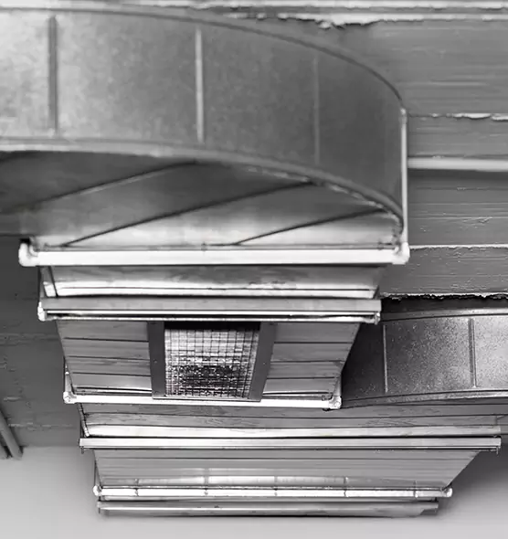 Professional Air Duct Pest Removal in Secaucus, NJ